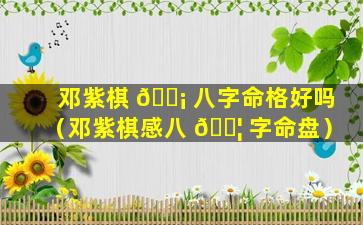 邓紫棋 🐡 八字命格好吗（邓紫棋感八 🐦 字命盘）